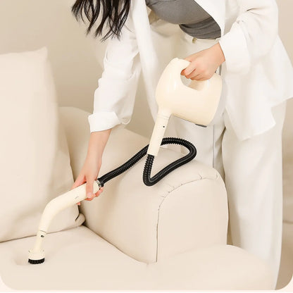 Steam Cleaning Machine